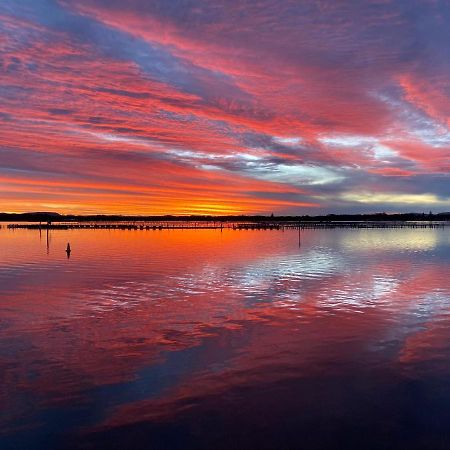 Sunrise Luxury Apartments Forster Extérieur photo